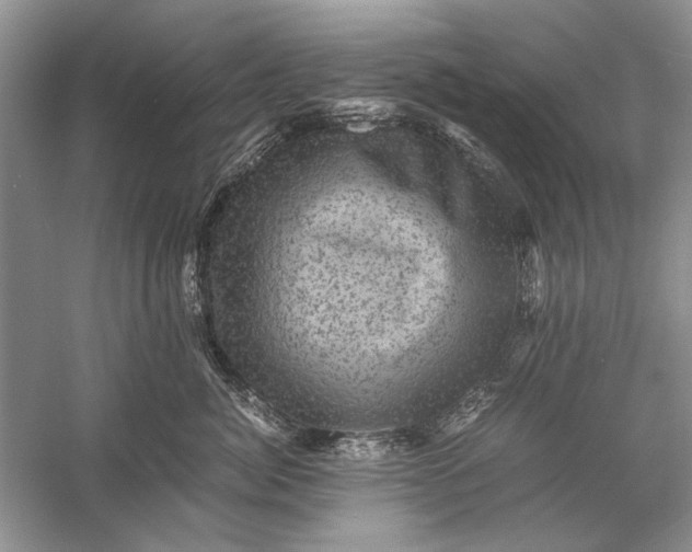 X0000058760764200510171159