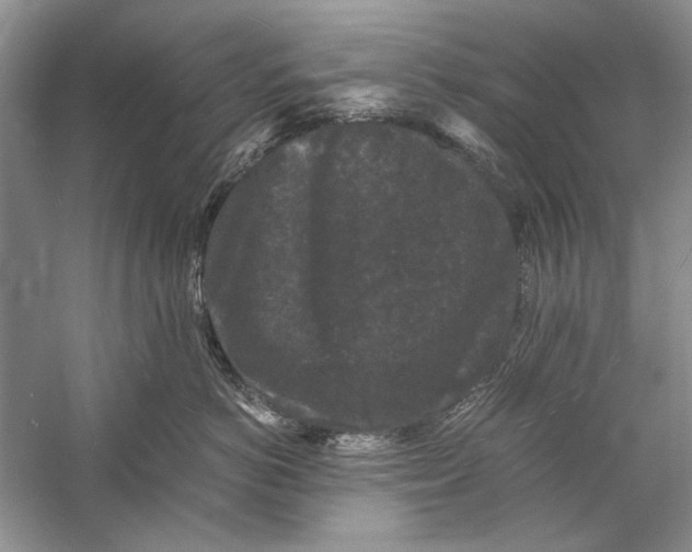 X0000058760766200510171159
