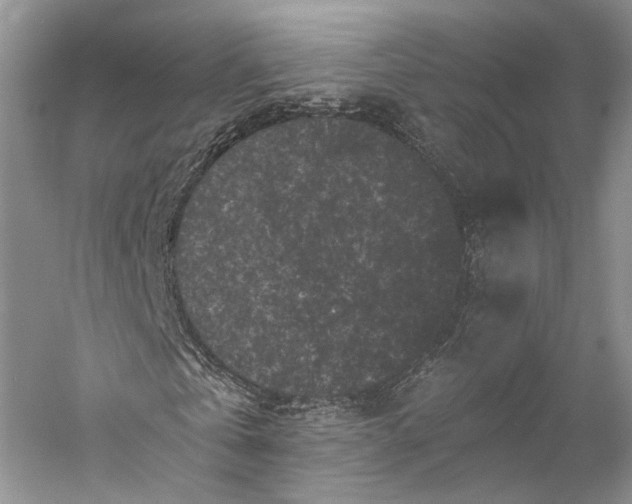 X0000058760769200510171158