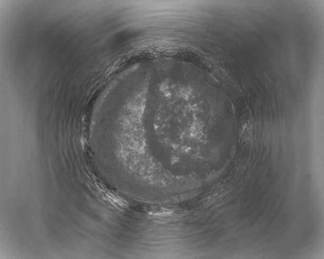 X0000058760772200510171158