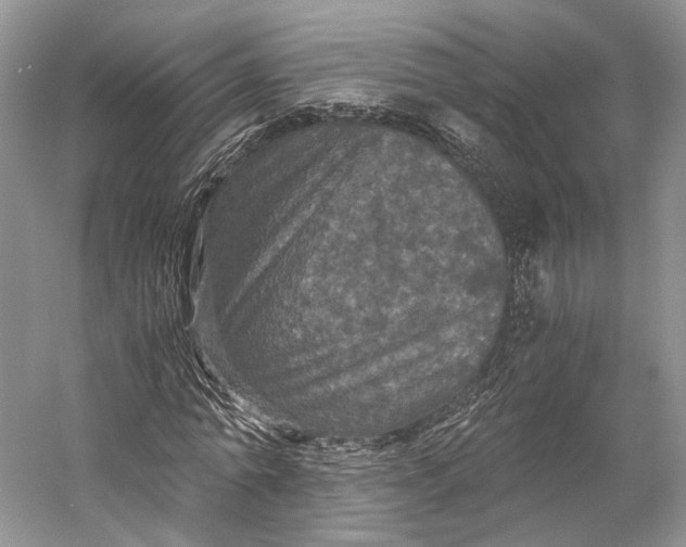 X0000058760774200510171158