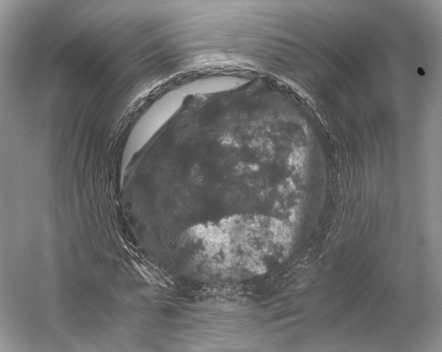 X0000058760775200510171158