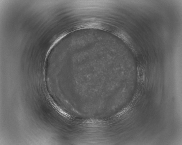 X0000058760780200510171158