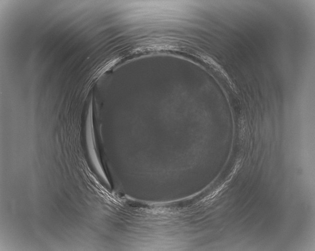 X0000058760785200510171158