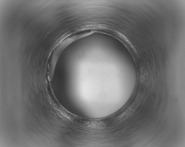 X0000058760786200510171158