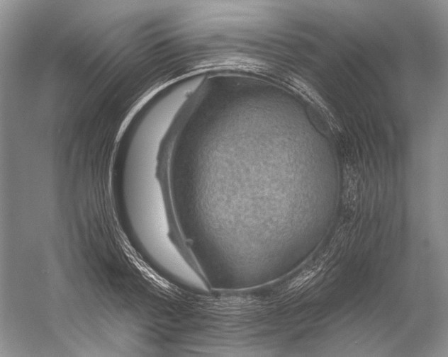 X0000058760788200510171158