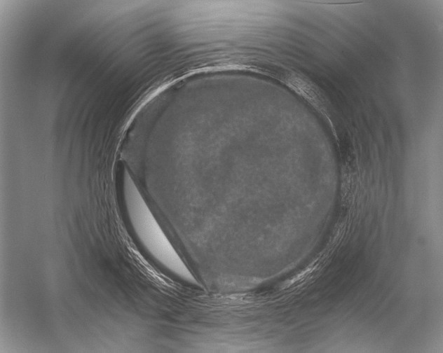 X0000058760789200510171158