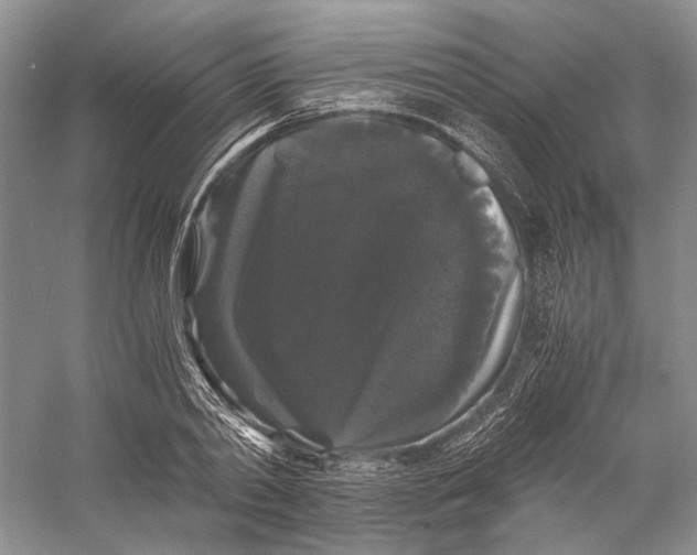 X0000058760790200510171158