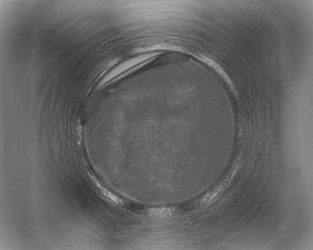 X0000058760793200510171158