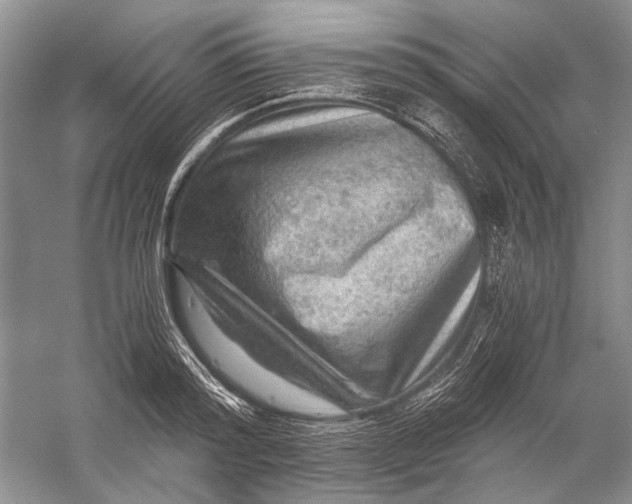 X0000058760796200510171158