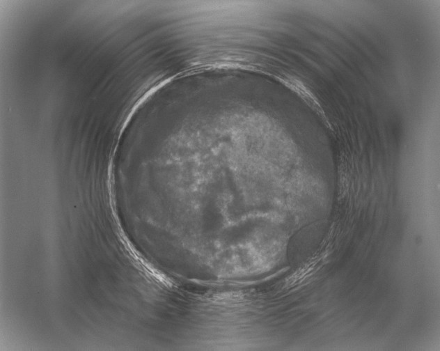 X0000058760798200510171158