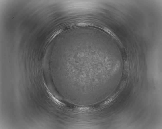 X0000058760801200510171157