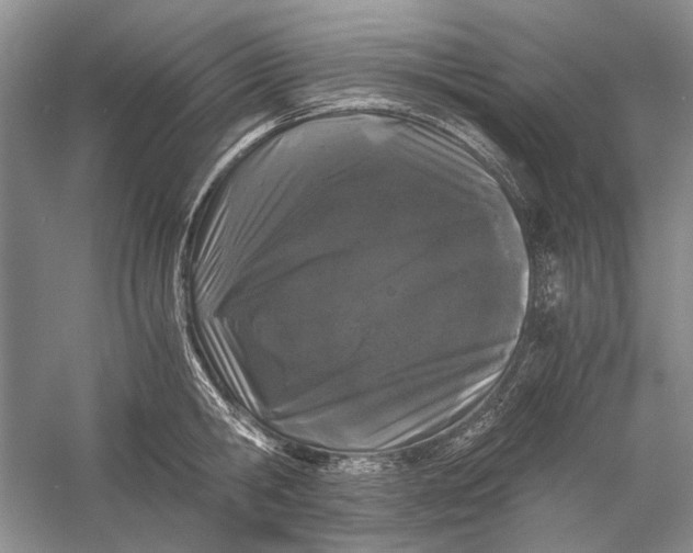 X0000058760806200510171157