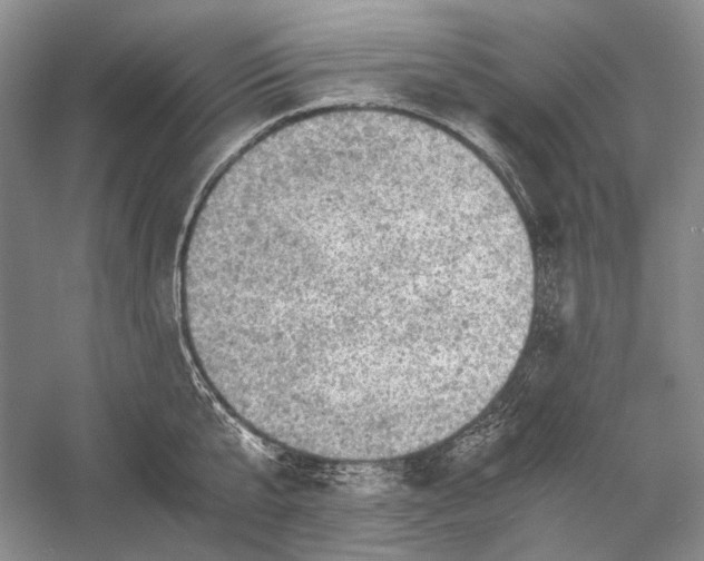 X0000058760807200510171157