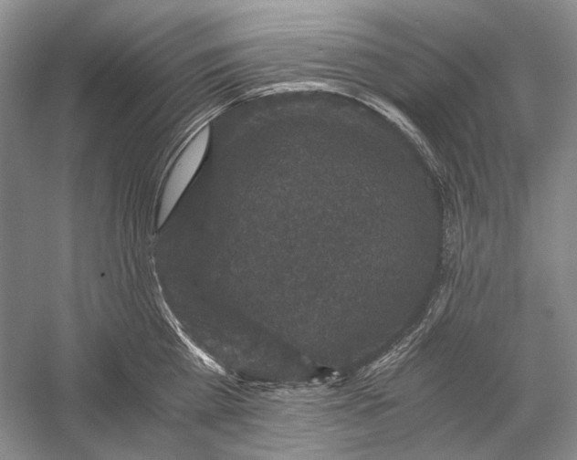X0000058760809200510171157