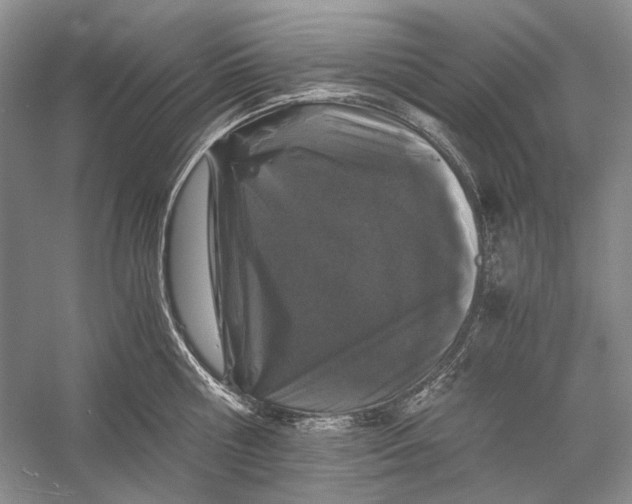 X0000058760810200510171157