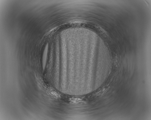 X0000058760821200510171156