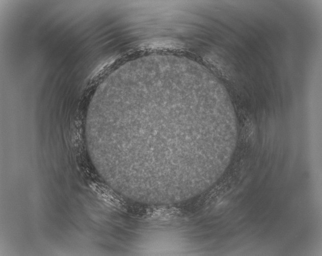X0000058760824200510171157