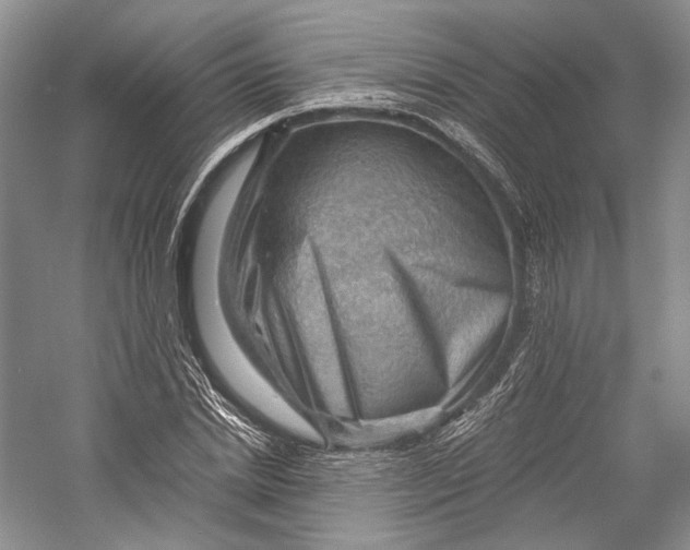 X0000058760830200510171157