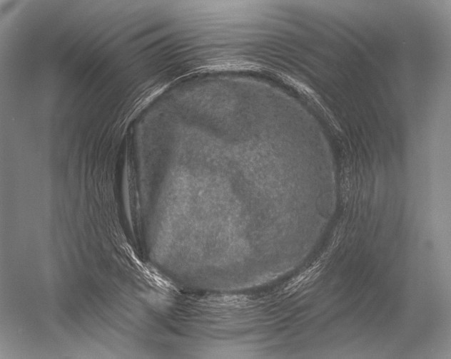 X0000058760833200510171157