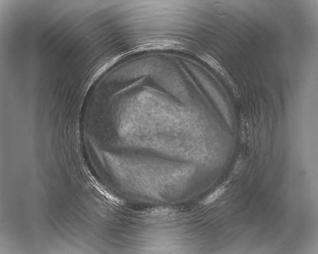 X0000058760834200510171157