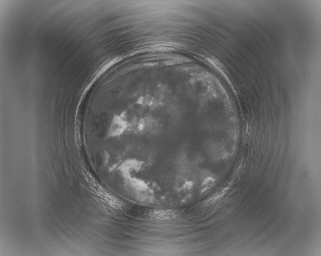 X0000058760835200510171157