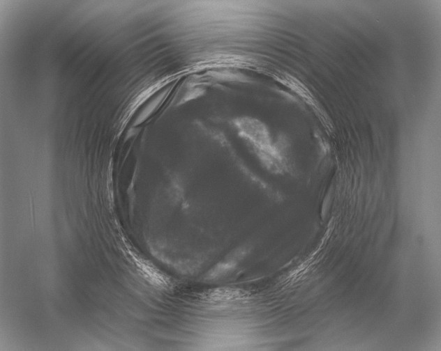 X0000058760842200510171157