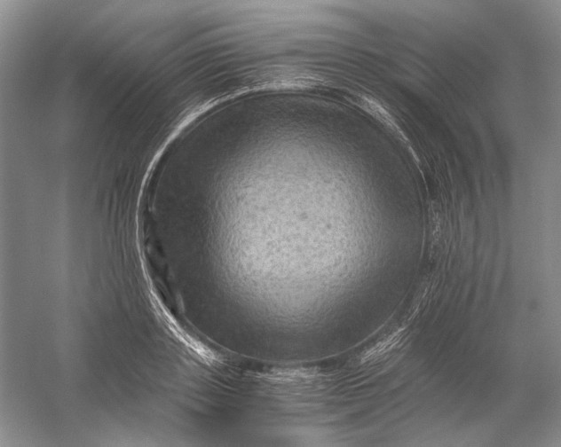 X0000058760843200510171157