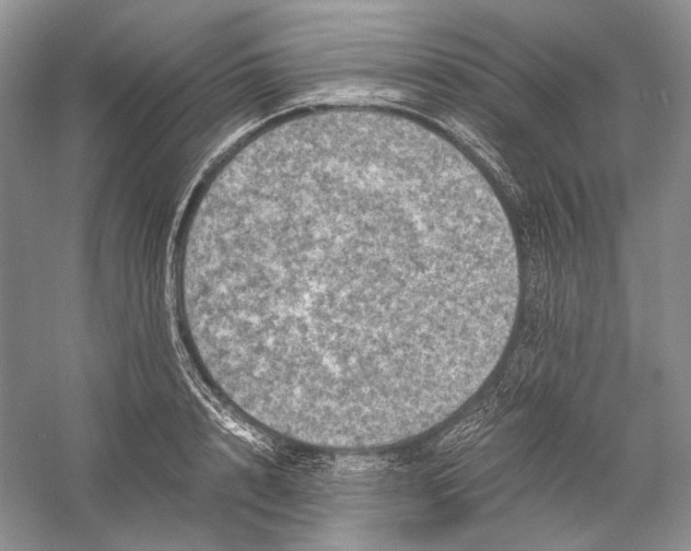 X0000058760848200510171157