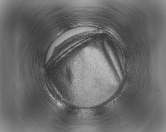 X0000058760849200510171157