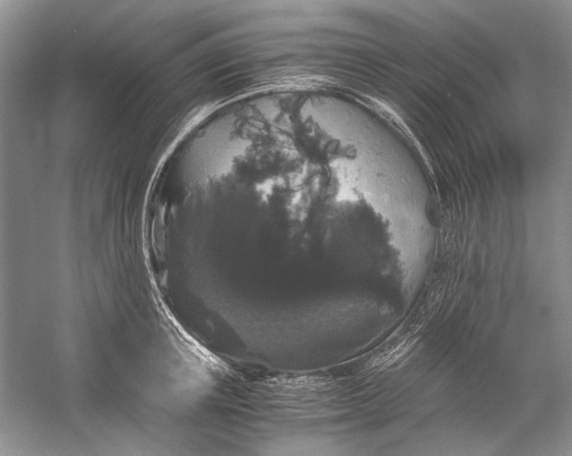 X0000058760851200510171157