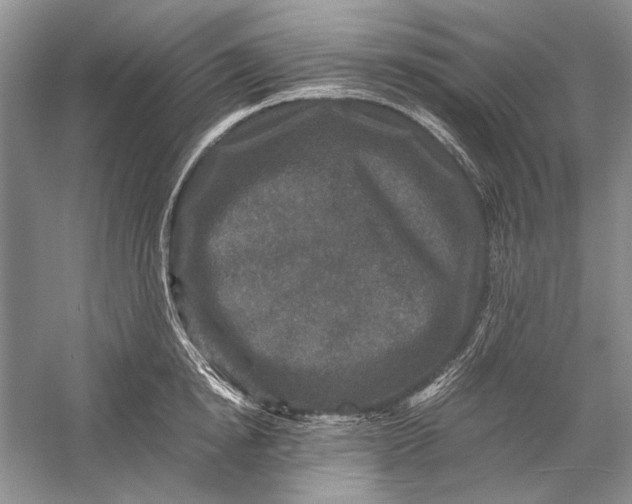X0000058760854200510171157