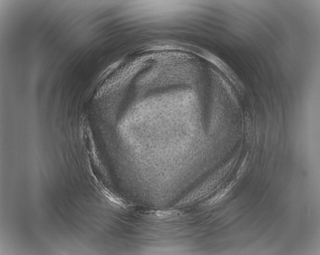 X0000058760857200510171157