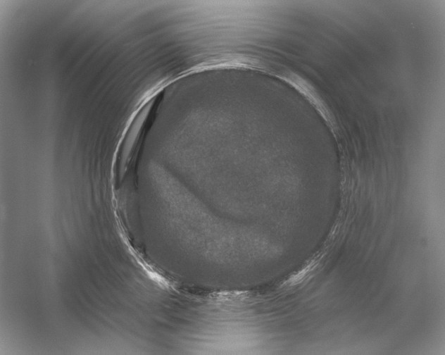 X0000058760858200510171157