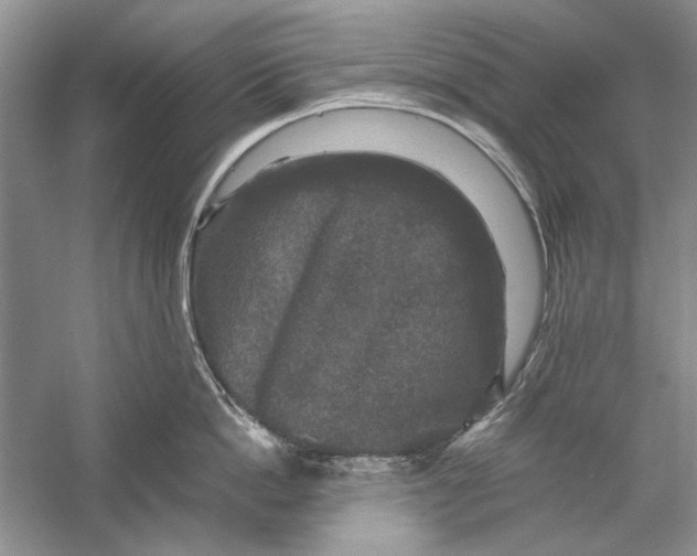 X0000058760862200510171157