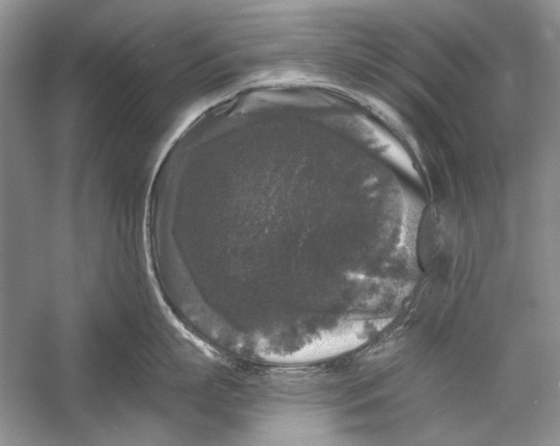 X0000058760863200510171157
