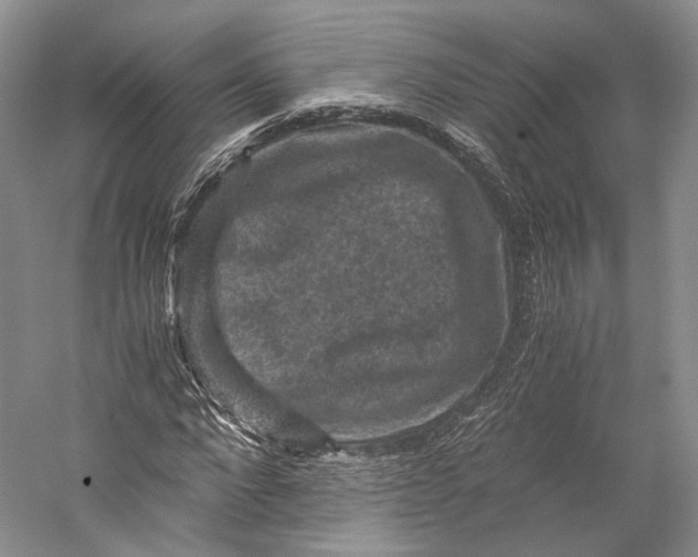 X0000058760872200510171156