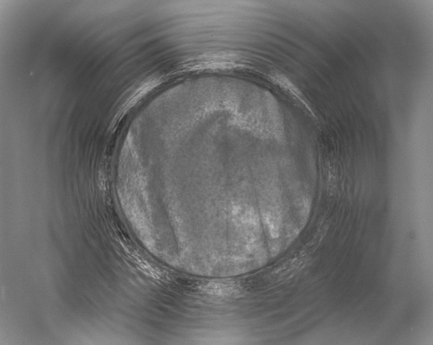 X0000058760874200510171156