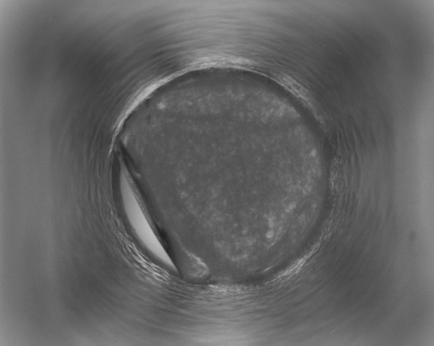 X0000058760877200510171156