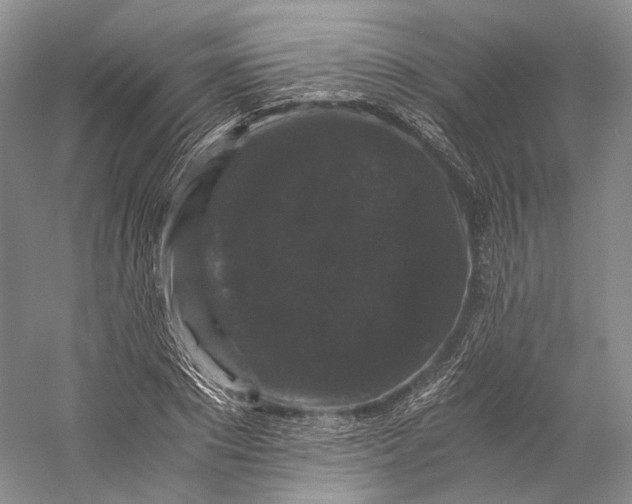 X0000058760881200510171156