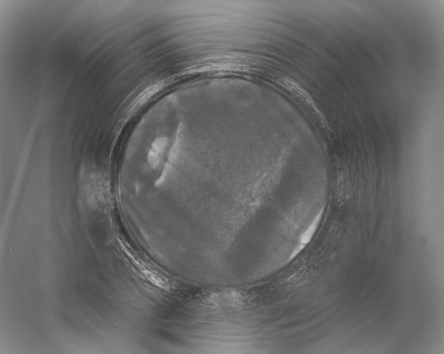 X0000058760882200510171156