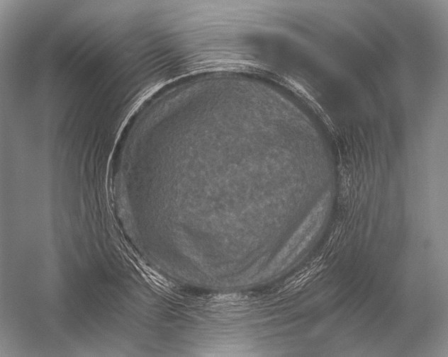 X0000058760883200510171156