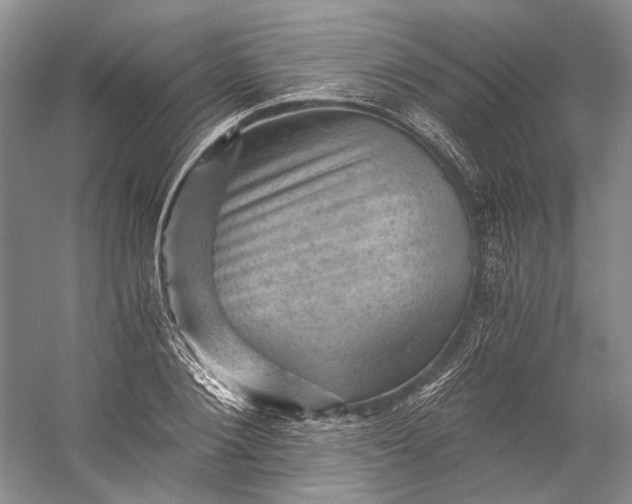 X0000058760884200510171156
