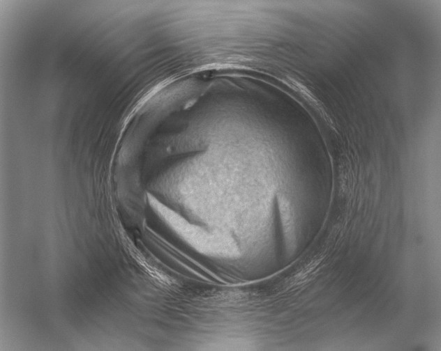 X0000058760885200510171156