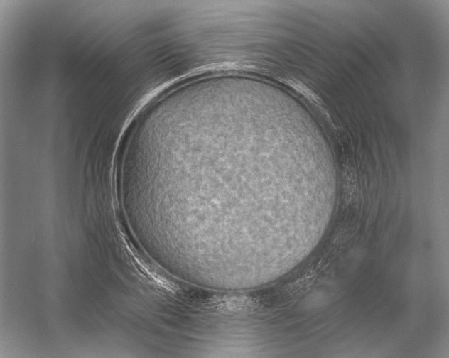 X0000058760886200510171156