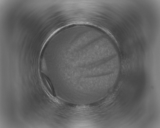 X0000058760887200510171156