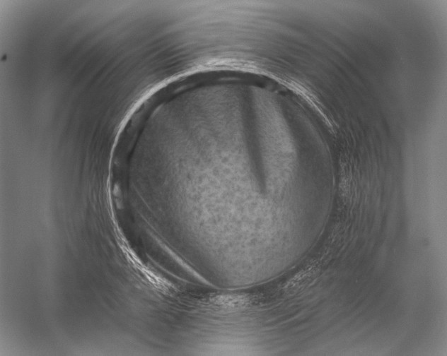 X0000058760888200510171156
