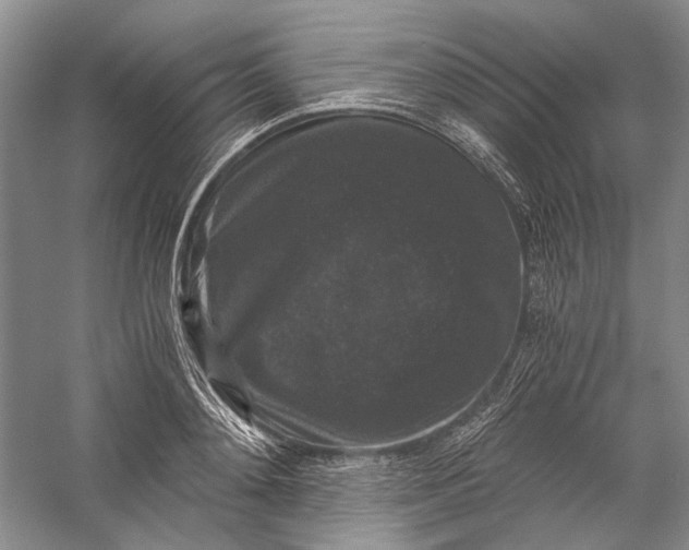 X0000058760892200510171156