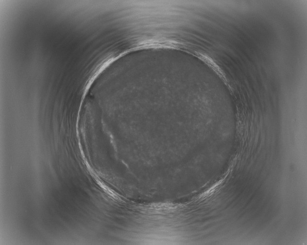 X0000058760893200510171156