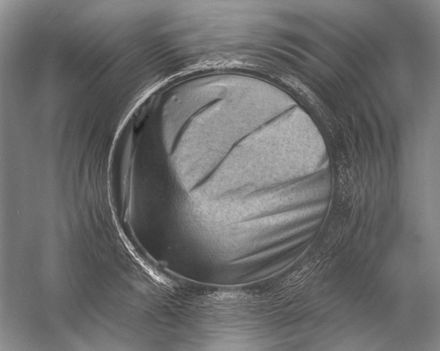X0000058760894200510171156